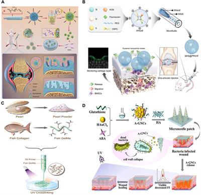 Hydrogel microrobots for biomedical applications